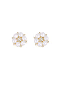 Louise knoop clip