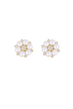 Louise knoop clip