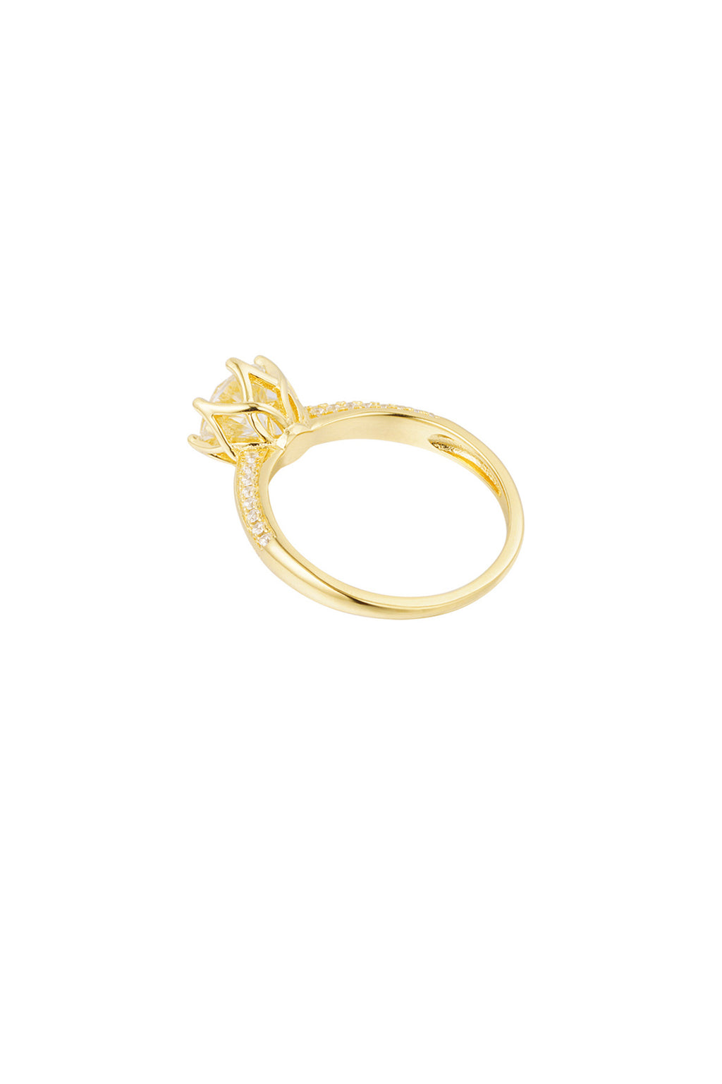 Oliva ring